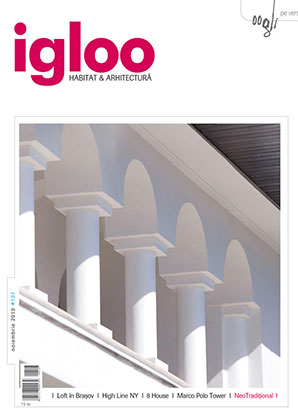 Igloo