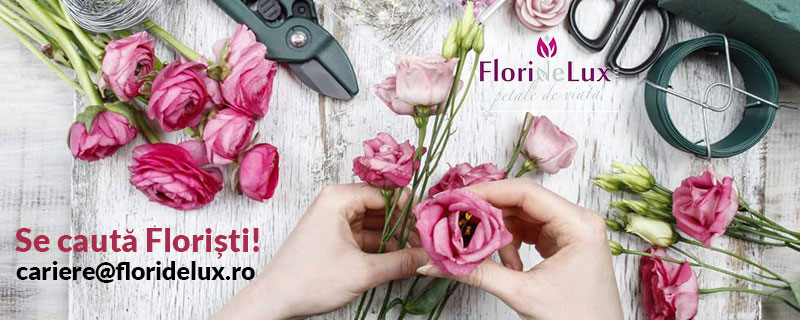 angajari-floristi-florarie-online-flori-de-lux-1