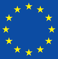 steag uniunea europeana