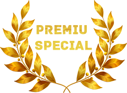 Premiu-Special-Atelierele-ILBAH