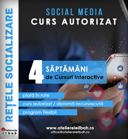 curs social media, cursuri retele socializare, online marketing atelierele ilbah