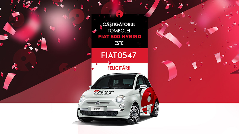 castigator fiat 500