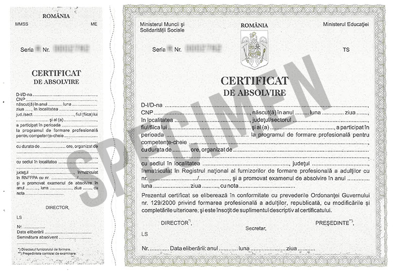 Certificat COMPETENTE CHEIE (Gri)
