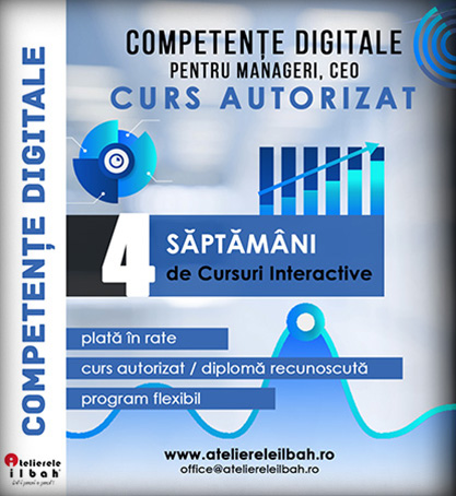 Curs Competente Digitale pentru persoanele responsabile cu conducerea si controlul intreprinderii