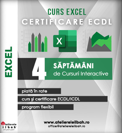 Curs Excel Autorizat Ecdl Icdl