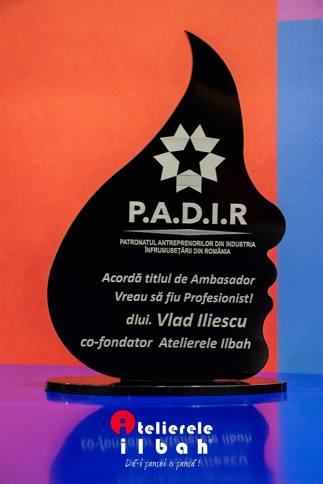 Ambasador Vreau sa fiu Profesionist - Vlad Iliescu