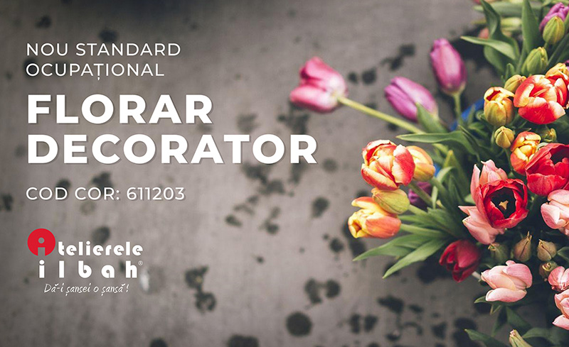 Noul Standard Florar Decorator Cod Cor 611203