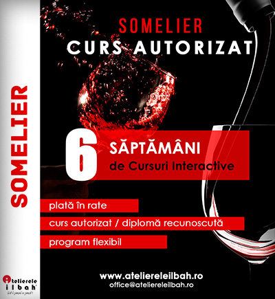 Curs Somelier
