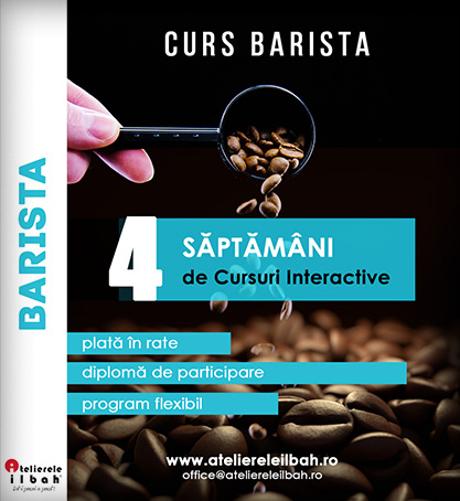 Curs Barista