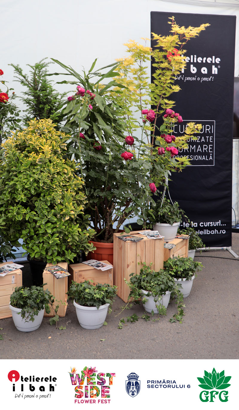 West Side Flower Fest 2024 - WSF 2024