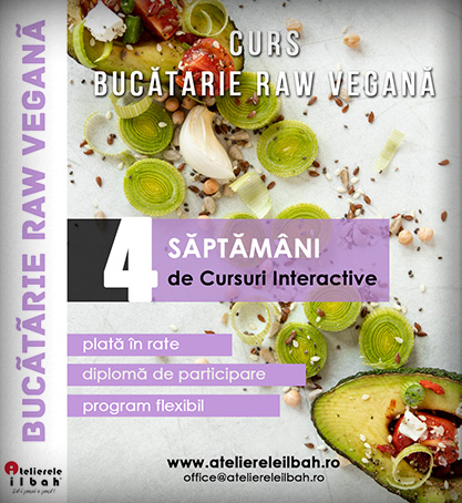 Cursuri Gatit Raw Vegan