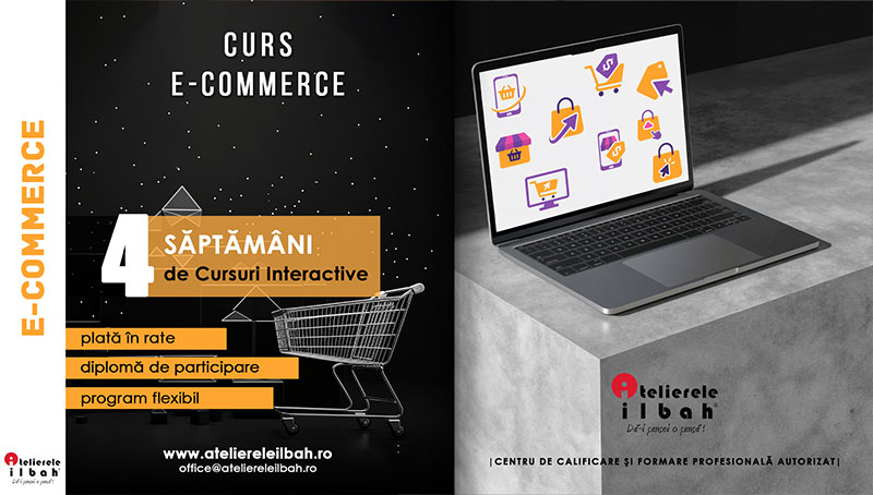 Curs E-Commerce