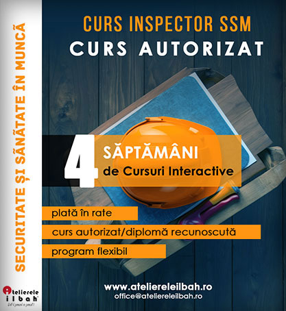Cursuri SSM