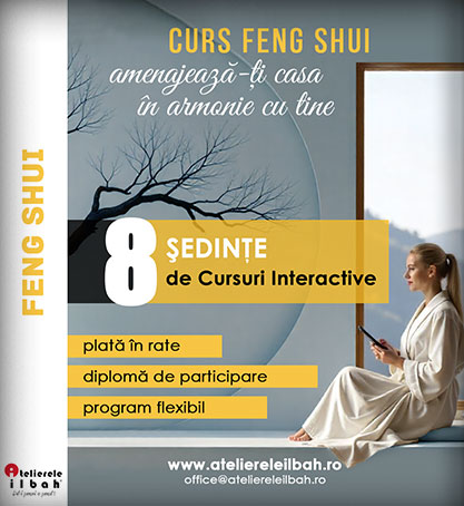 Cursuri Feng Shui