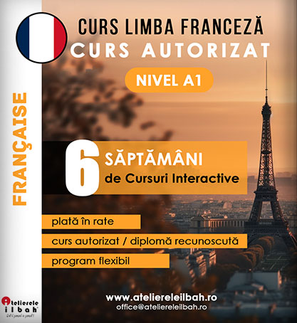 Cursuri de Franceza
