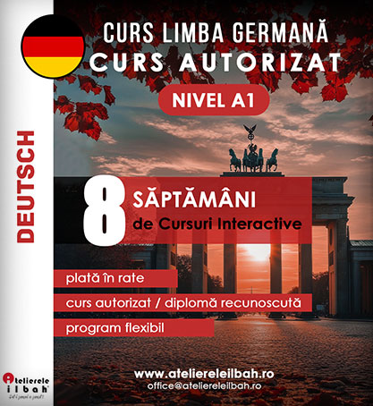 Cursuri de Germana