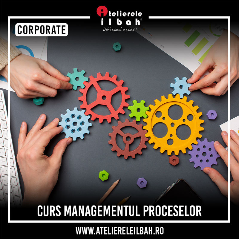 06 Curs Managementul Proceselor Curs Managementul Proceselor