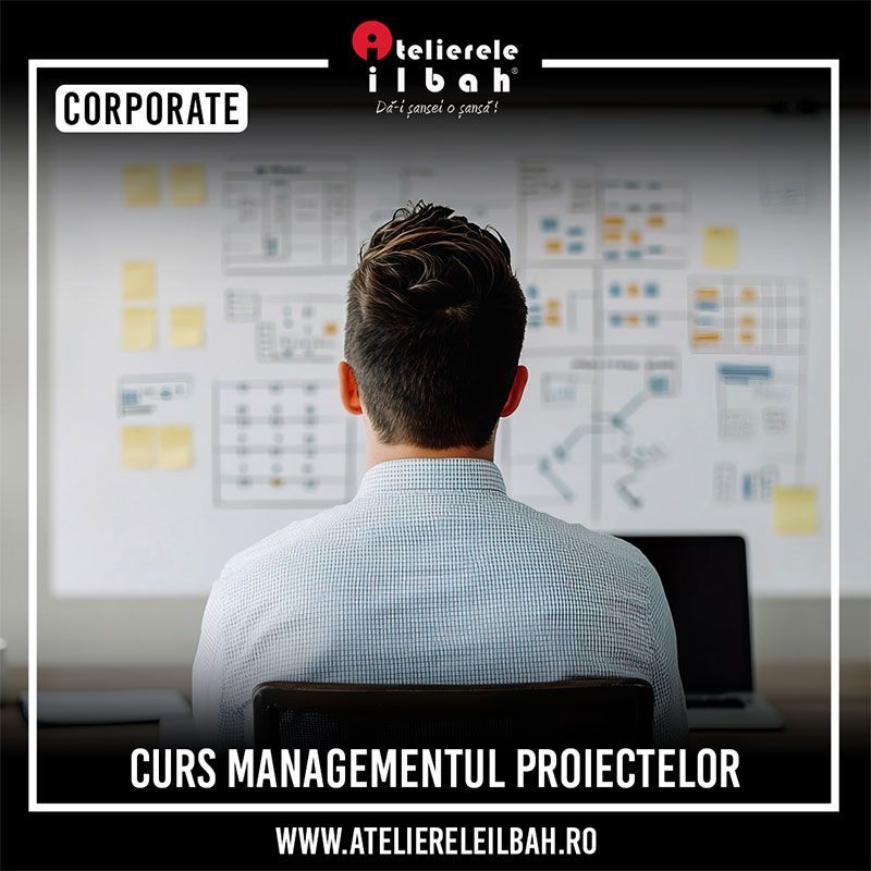 11 Curs Managementul Proiectelor Curs Managementul Proiectelor