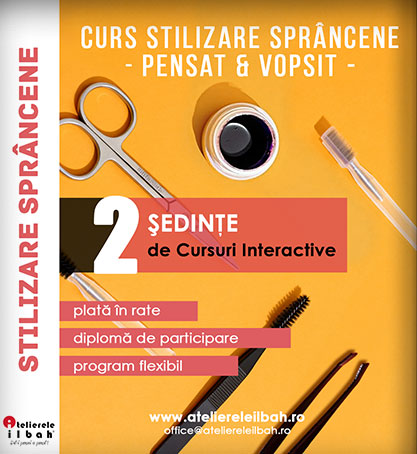 Cursuri Stilizare Sprancene