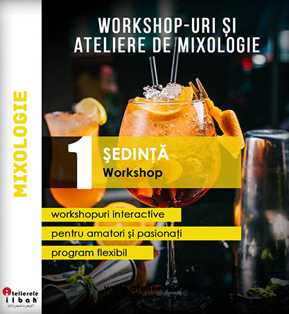 Workshopuri de Mixologie (Ateliere Bartending)