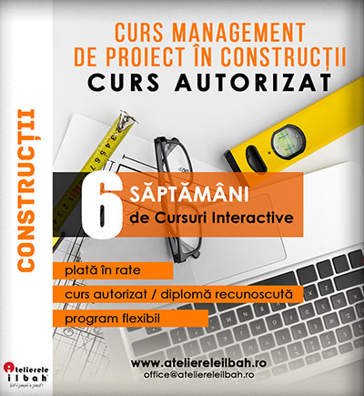 Curs Management de Proiect in Constructii
